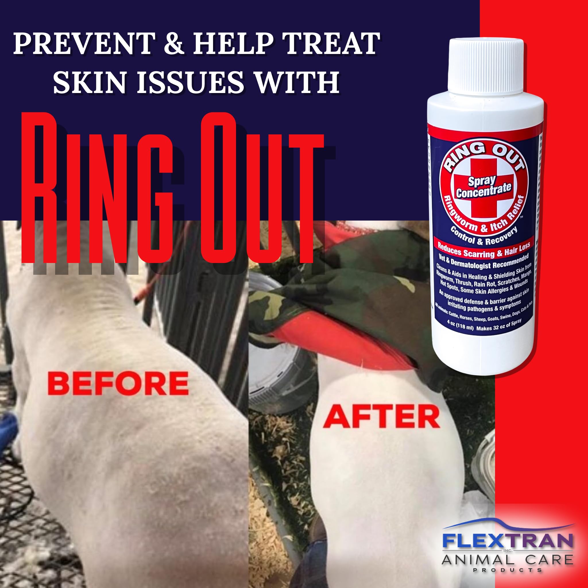 Ring Out - Control and Help Ringworm for Cats, Dogs, Sheep, Goats, Cattle, Horses, all Pets and Livestock makes 32 oz. of Spray